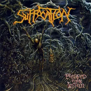 Cover of Pierced From Within