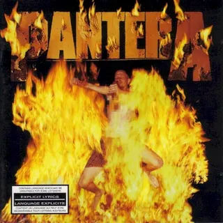Cover of Reinventing the Steel