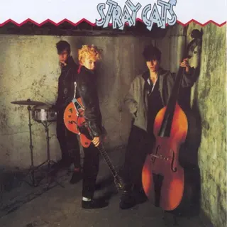 Cover of Stray Cats
