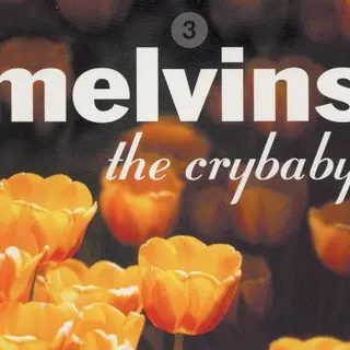 Cover of The Crybaby
