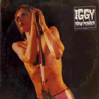 Cover of Raw Power