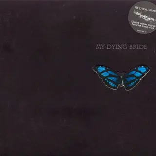 Cover of Like Gods of the Sun