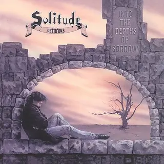 Cover of Into the Depths of Sorrow