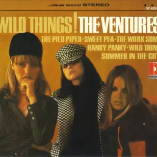 Cover of Wild Things!