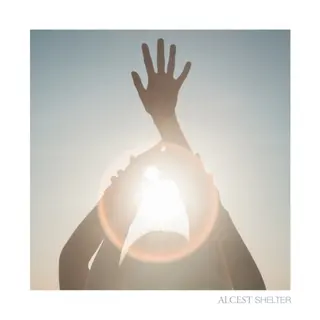 Cover of Shelter