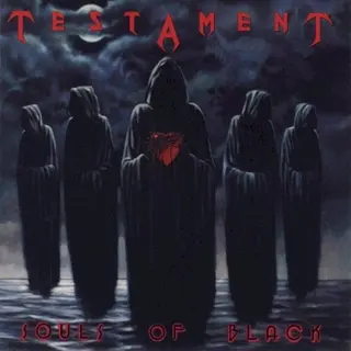 Cover of Souls of Black