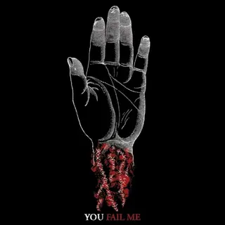 Cover of You Fail Me