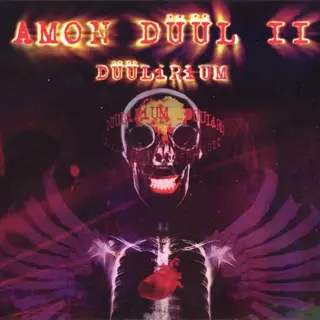 Cover of Düülirium