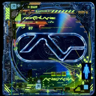 Cover of Anemoia