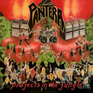 Cover of Projects in the Jungle