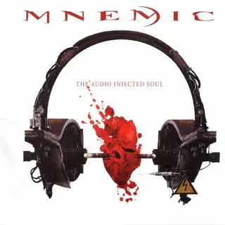 Cover of The Audio Injected Soul