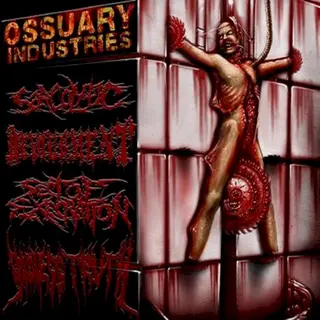 Cover of Limb Splitter