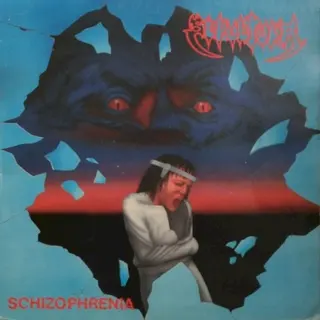 Cover of Schizophrenia