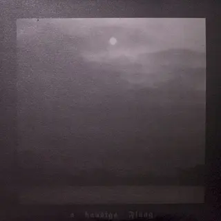 Cover of A Haudiga Fluag / Schwarzä Feus & Schwarzäs Isa