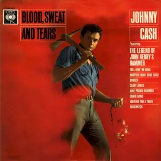 Cover of Blood, Sweat and Tears