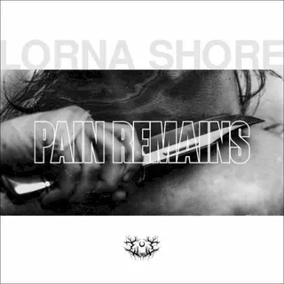 Cover of Pain Remains