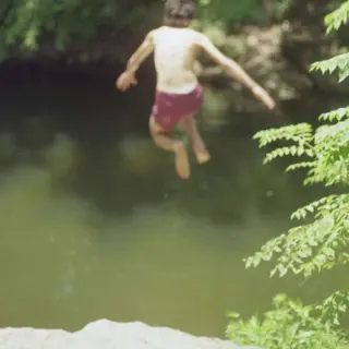 Cover of Whenever, If Ever