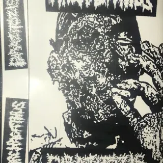 Cover of Archagathus / Parazitózis