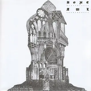 Cover of Meaningless Leaning Mess