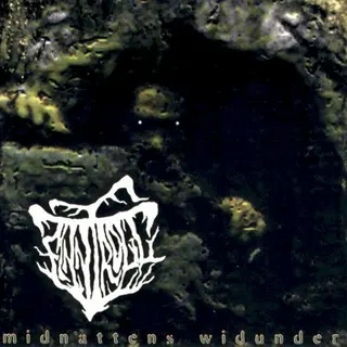 Cover of Midnattens widunder