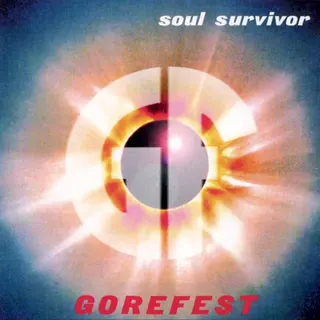 Cover of Soul Survivor