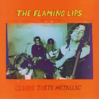 Cover of Clouds Taste Metallic