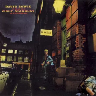 Cover of The Rise and Fall of Ziggy Stardust