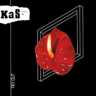 Cover of Try Out