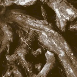 Cover of Schnee (III) / Füür Rouch Ruäss