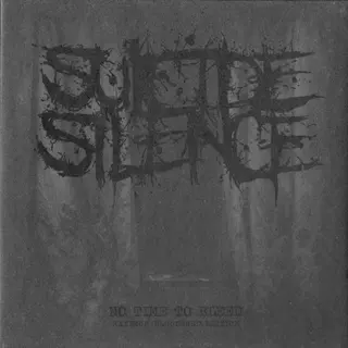 Cover of No Time to Bleed