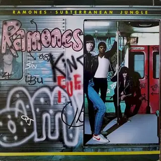 Cover of Subterranean Jungle