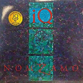 Cover of Nomzamo
