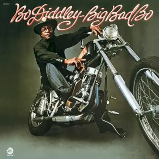 Cover of Big Bad Bo