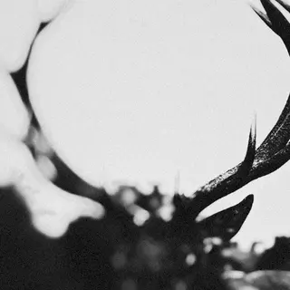 Cover of Ihsahn