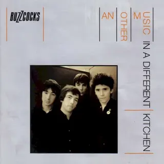 Cover of Another Music in a Different Kitchen