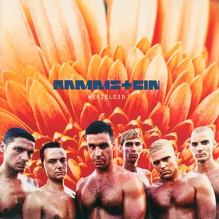 Cover of Herzeleid