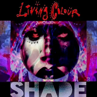Cover of Shade