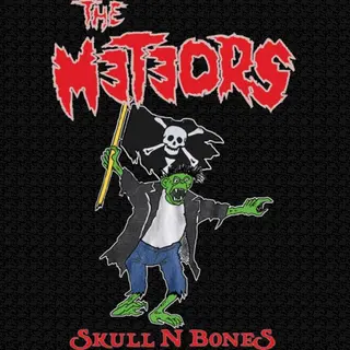 Cover of Skull N Bones