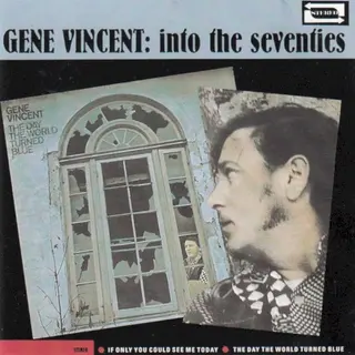 Cover of Into the Seventies