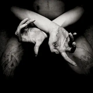Cover of X: Varg utan flock