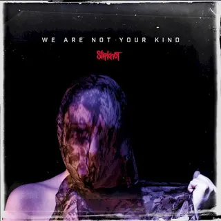 Cover of We Are Not Your Kind