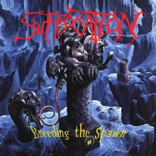 Cover of Breeding the Spawn