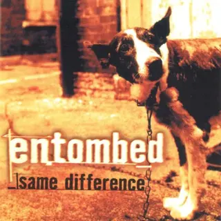 Cover of Same Difference
