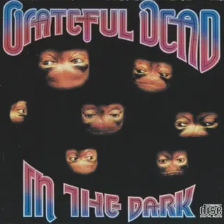 Cover of In the Dark