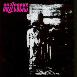 Cover of Buzzcocks