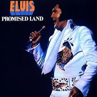 Cover of Promised Land