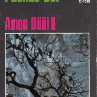 Cover of Phallus Dei