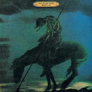 Cover of Surf's Up