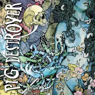 Cover of Phantom Limb