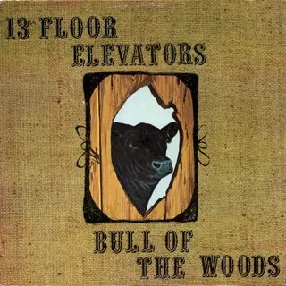 Cover of Bull of the Woods